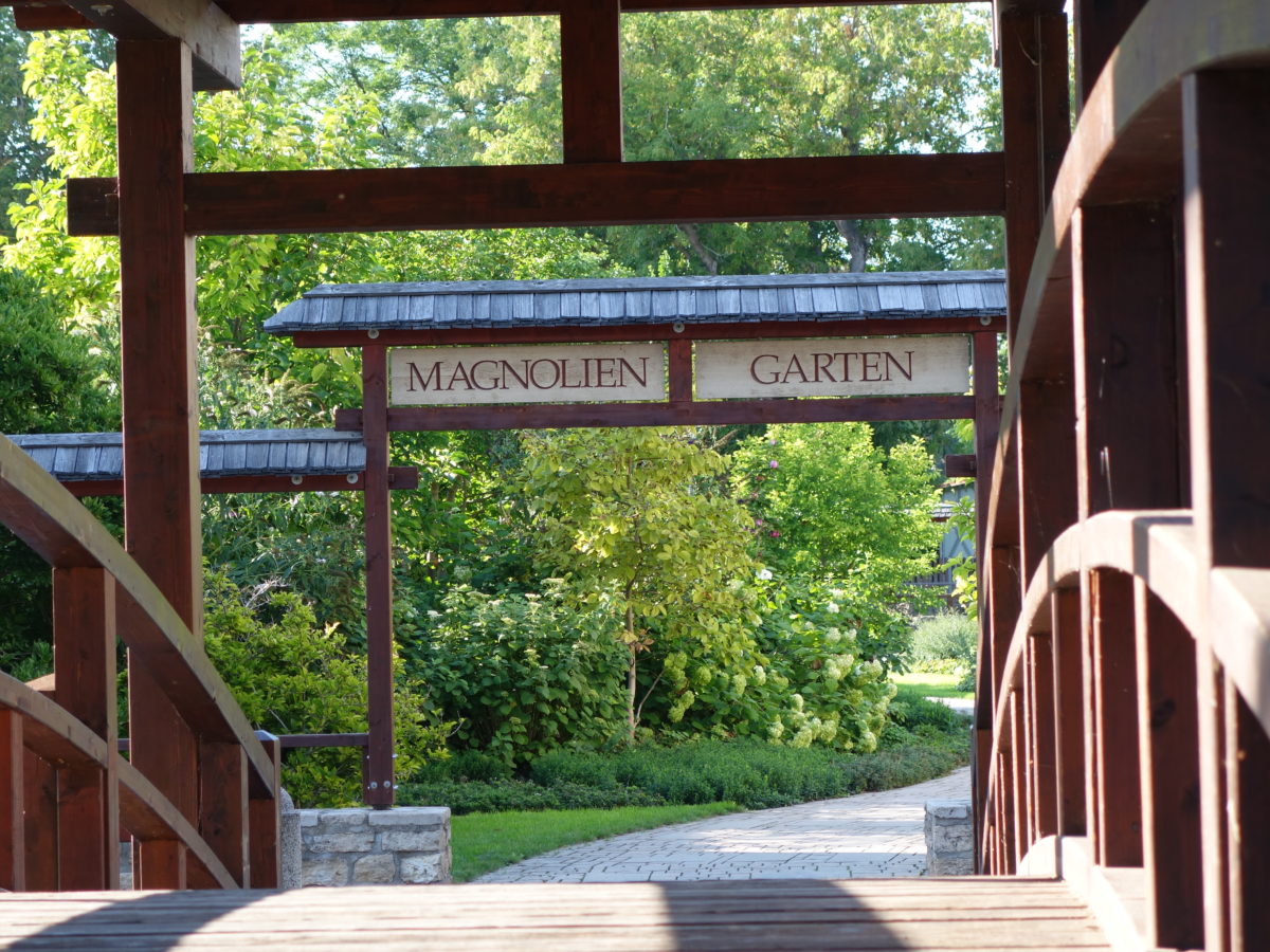 Magnoliengarten – Gartenkultur Thüringen