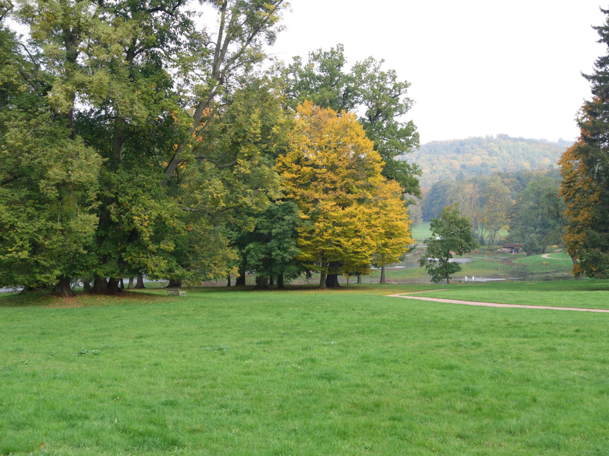 Schlosspark Wilhelmsthal Gartenkultur Thüringen