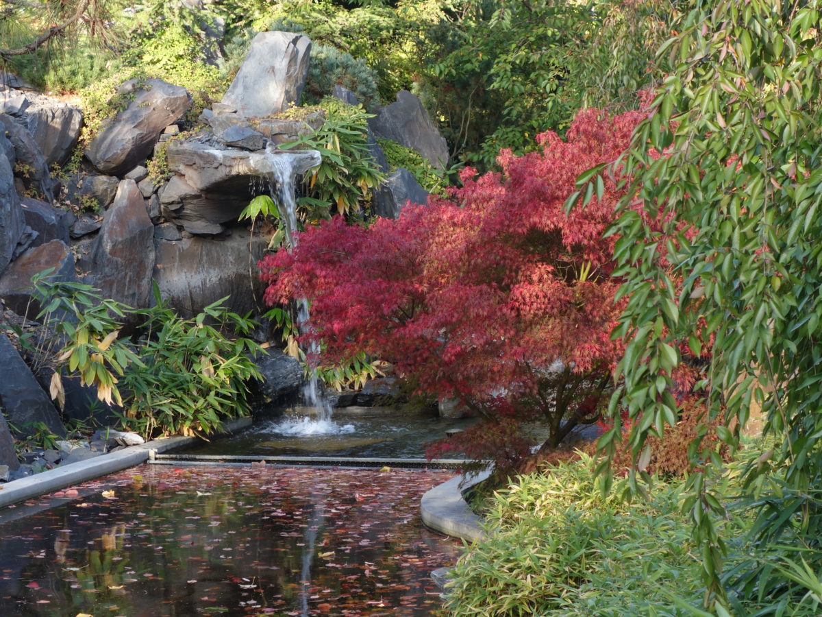 egapark Erfurt Gartenkultur Thüringen