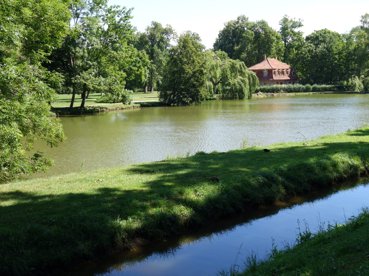 Schlosspark Sondershausen Gartenkultur Thüringen